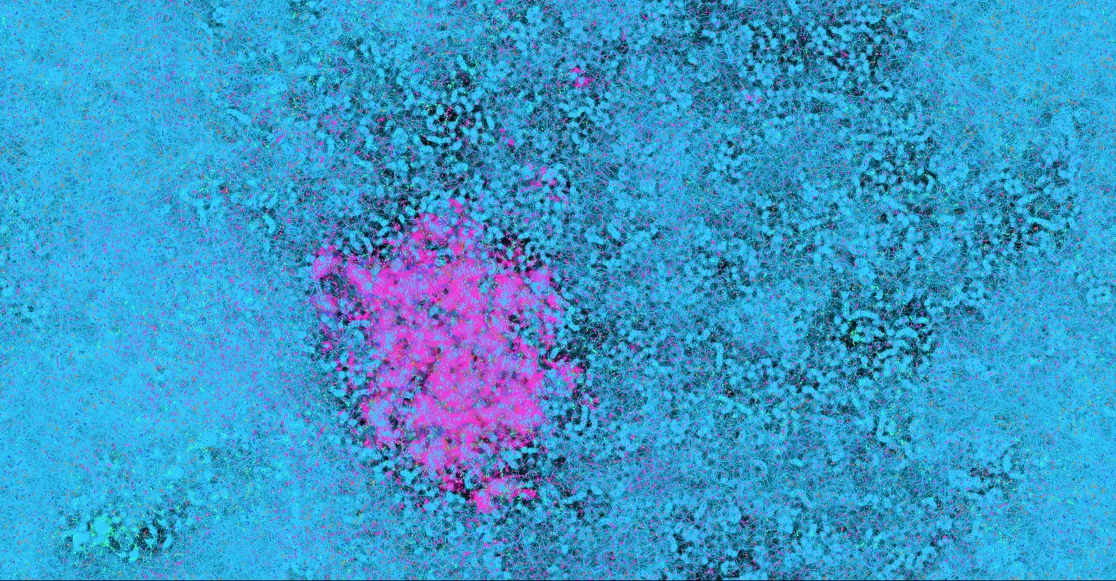 Hypercells — a high-key cyan field of fine granular particle texture on black, with a single bright magenta bloom cluster left of centre