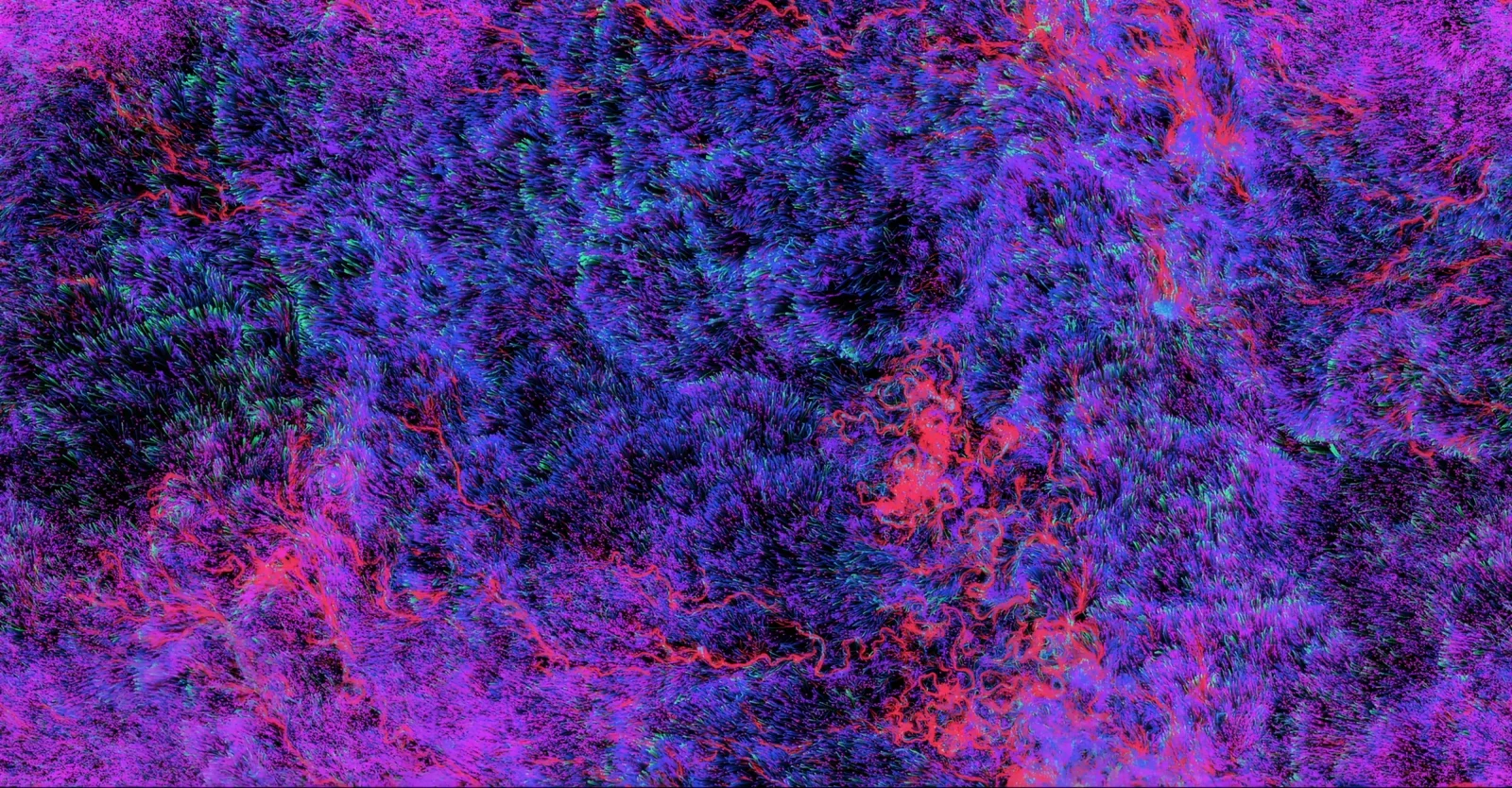 Hypercells — a violet and blue field of fine fibrous particle trails with red and green filaments woven through it