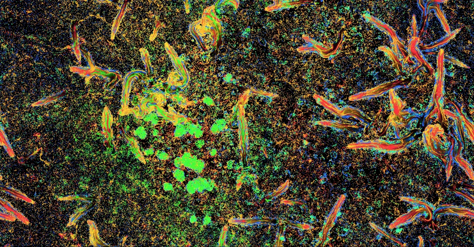 Hypercells