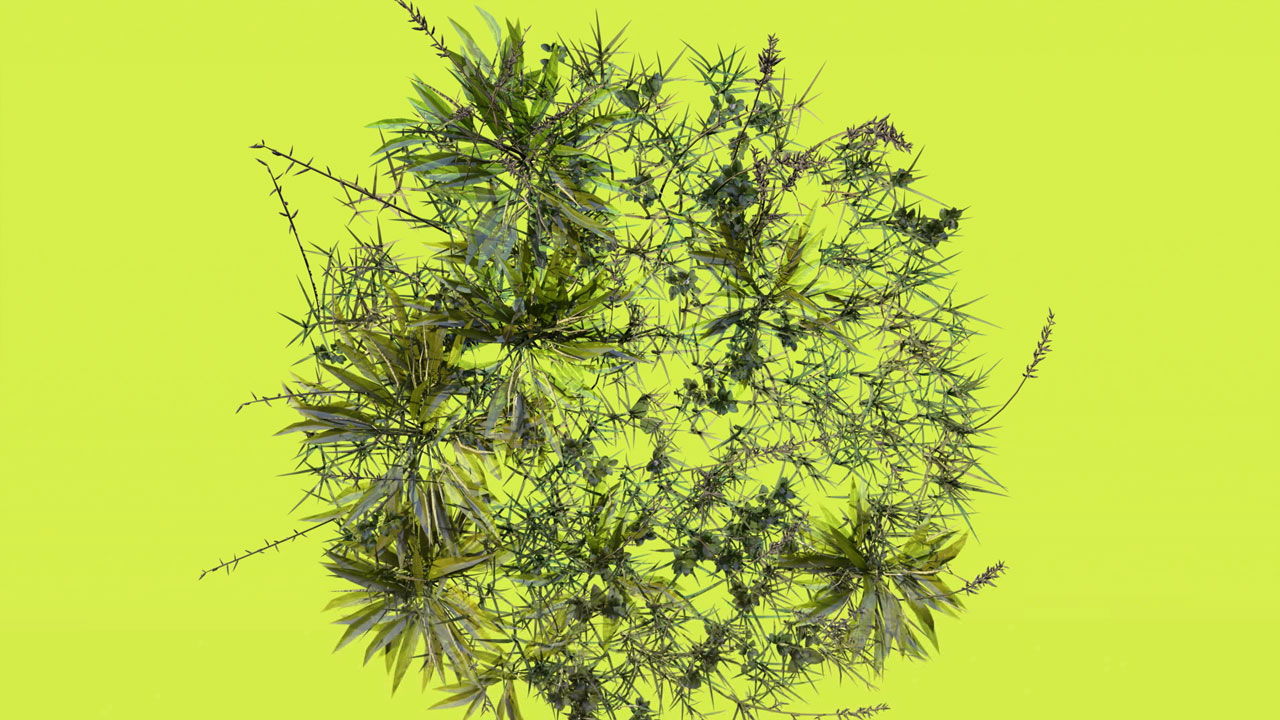 artificial intelligence animation - plants on yellow background